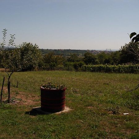 Ferienhaus Hartmann Héviz Zewnętrze zdjęcie